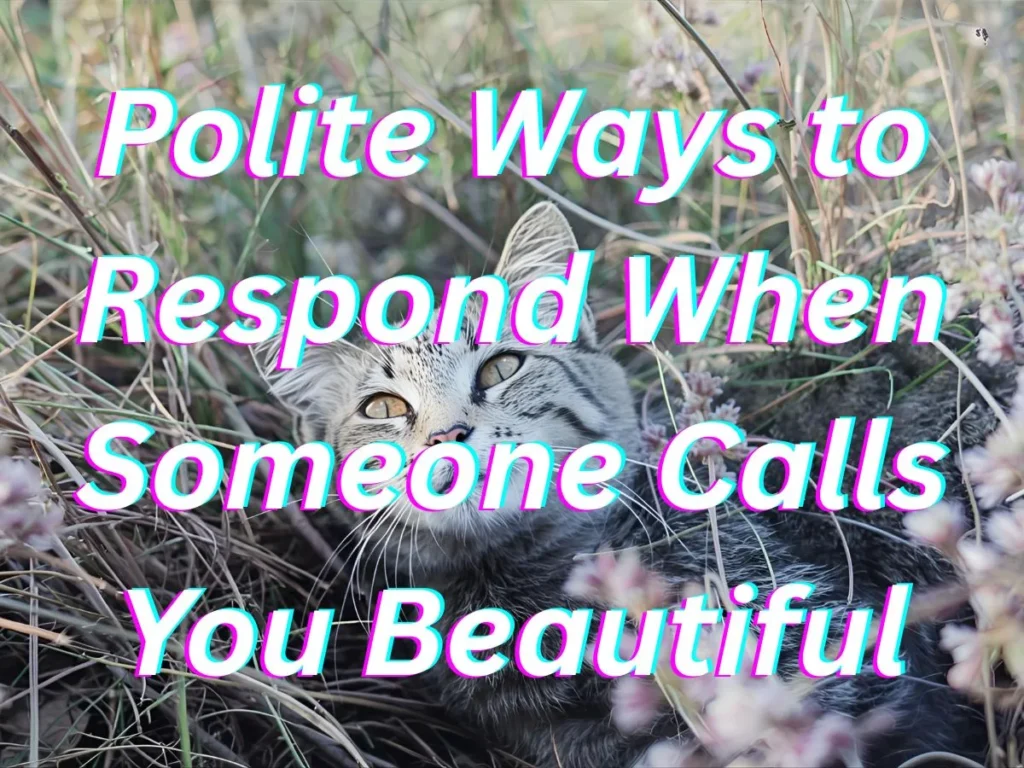 Polite Ways to Respond When Someone Calls You Beautiful