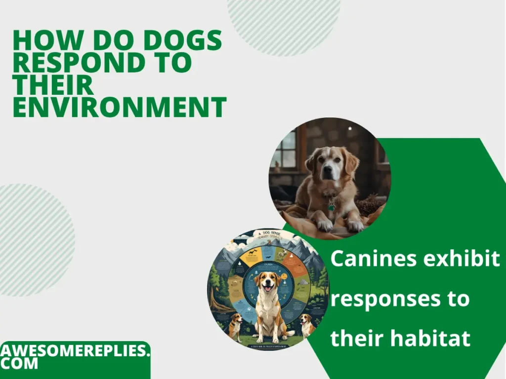 How Dogs Respond to Their Environment