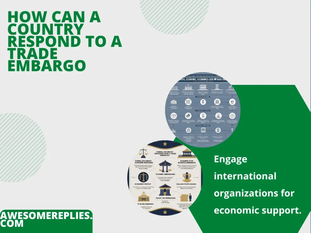 Formal Ways to Say How Can a Country Respond to a Trade Embargo
