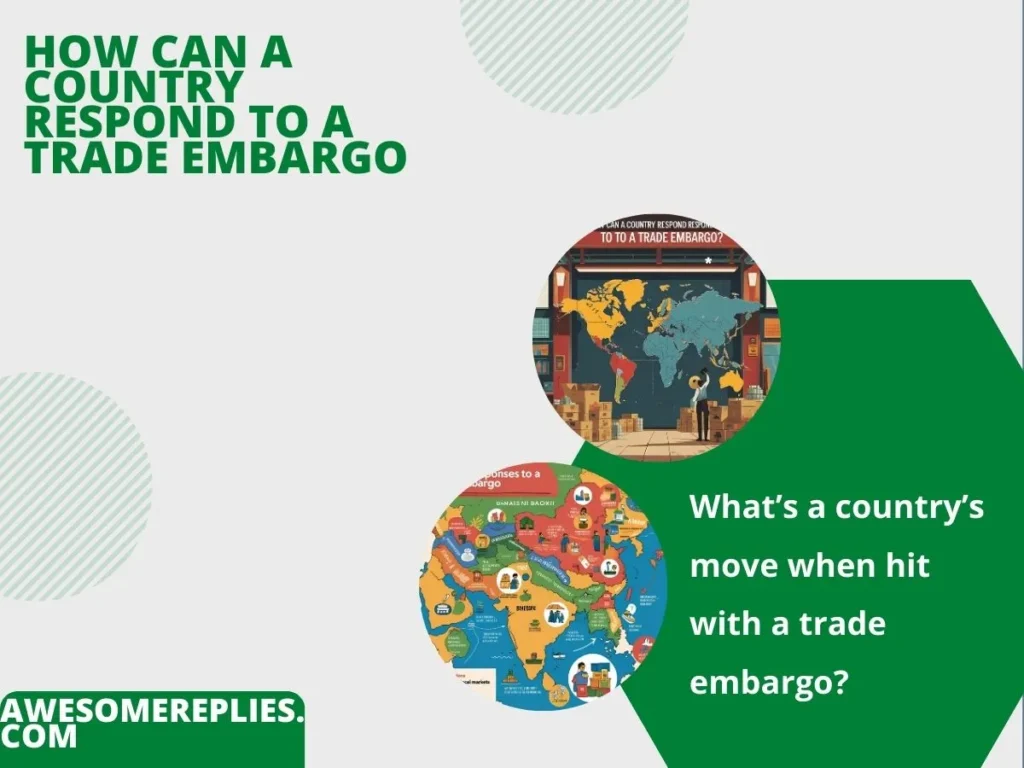 Informal Ways to Say How Can a Country Respond to a Trade Embargo